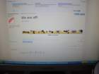 dsc03899_small.jpg