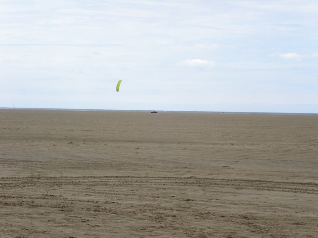 hoylake24hrchallengebuggybagsjun07118.jpg