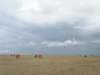 hoylake24hrchallengebuggybagsjun07157_small.jpg
