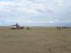 hoylake24hrchallengebuggybagsjun07193_small.jpg