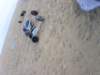 hoylake24hrchallengebuggybagsjun07194_small.jpg