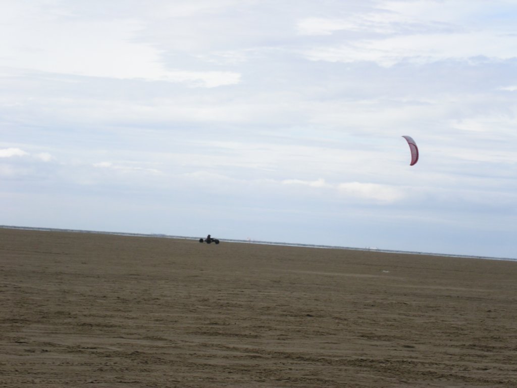 hoylake24hrchallengebuggybagsjun0795.jpg