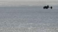 buggybagspkapembreymar0831_small.jpg