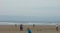 buggybagsracekitesrhosilli040837_small.jpg