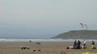 buggybagsracekitesrhosilli040898_small.jpg