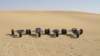 belowdune7_small.jpg