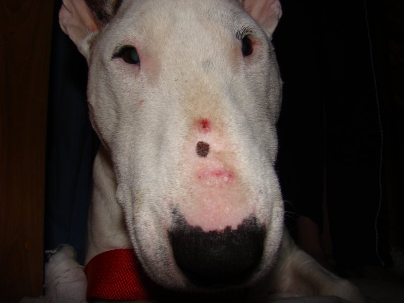 dsc03922.jpg