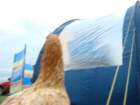 dsc03941_small.jpg