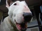 dsc03942_small.jpg