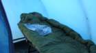 dsc03979_small.jpg