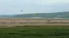dsc04013_small.jpg