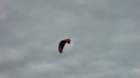 dsc04022_small.jpg