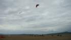 dsc04023_small.jpg