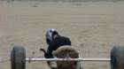 dsc04051_small.jpg
