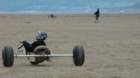 dsc04052_small.jpg