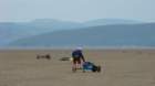 dsc04064_small.jpg