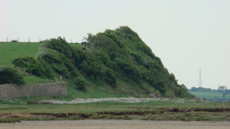 dsc04066.jpg