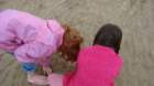 dsc04074_small.jpg