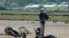 dsc04077_small.jpg