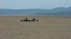 dsc04084_small.jpg