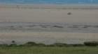dsc04113_small.jpg