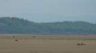 dsc04114_small.jpg