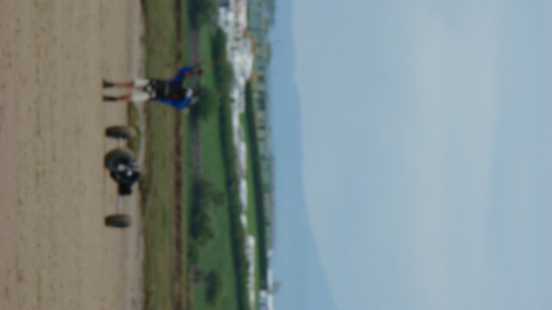 dsc04136.jpg