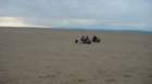 dsc04150_small.jpg