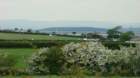 dsc04156_small.jpg