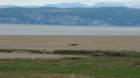 dsc04159_small.jpg