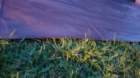 dsc04190_small.jpg