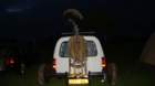 dsc04224_small.jpg