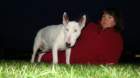 dsc04228_small.jpg