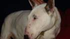 dsc04230_small.jpg