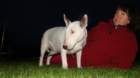 dsc04231_small.jpg