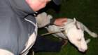 dsc04234_small.jpg