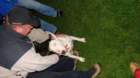 dsc04236_small.jpg