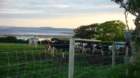dsc04239_small.jpg