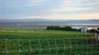 dsc04240_small.jpg