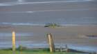 dsc04243_small.jpg