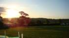 dsc04245_small.jpg