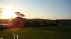 dsc04246_small.jpg