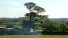 dsc04255_small.jpg
