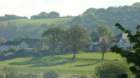 dsc04259_small.jpg