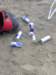 hoylake24hrchallengebuggybagsjun07223_small.jpg
