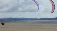 buggybagspkapembreymar0819_small.jpg