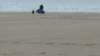 pkasummerjam08pembrey26_small.jpg