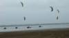 pkasummerjam08pembrey70_small.jpg