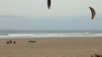 buggybagsracekitesrhosilli0408106_small.jpg