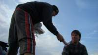 buggybagsracekitesrhosilli040845_small.jpg